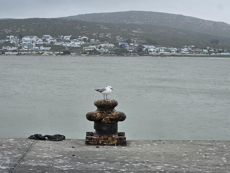 0 Bedroom Property for Sale in St Helena Views Western Cape